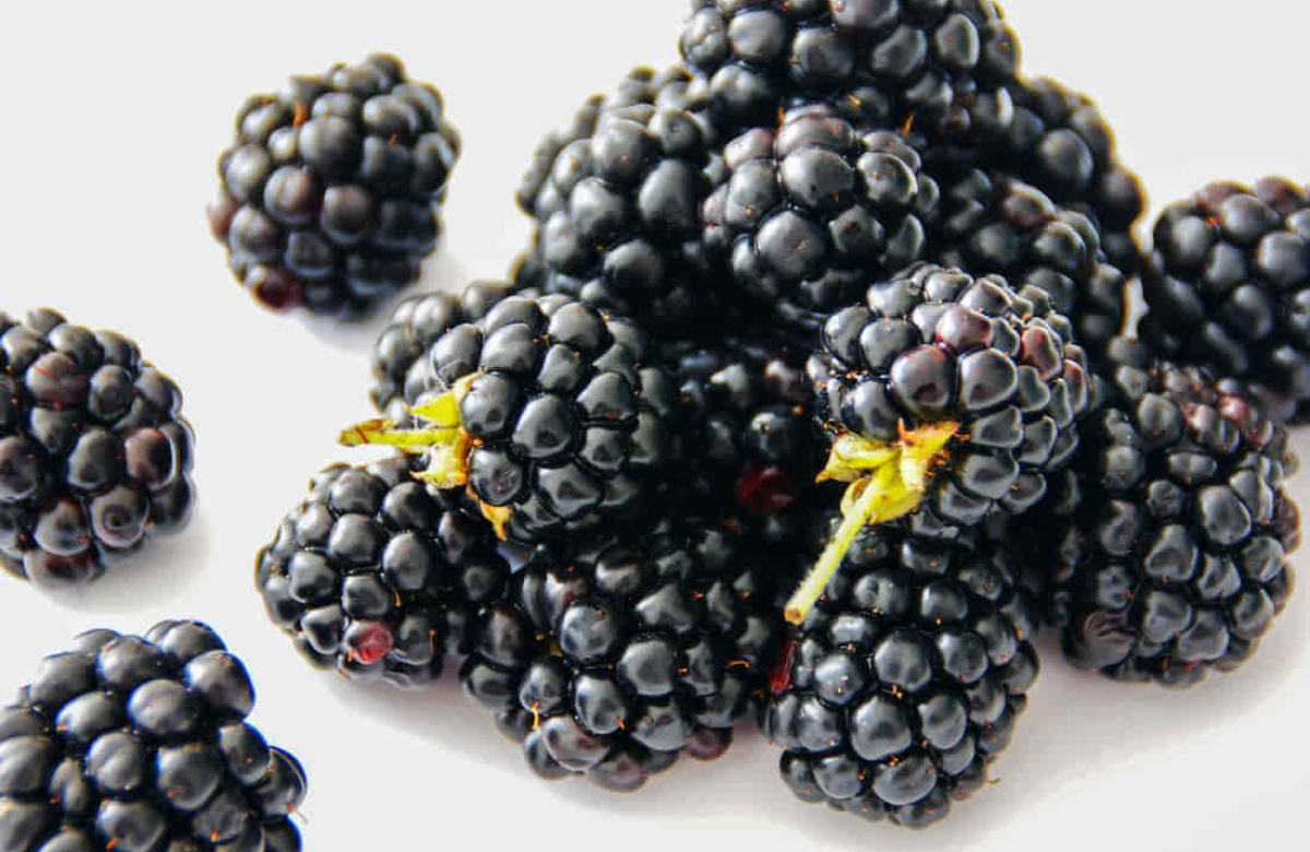 Blackberries On Table are Non-steroidal