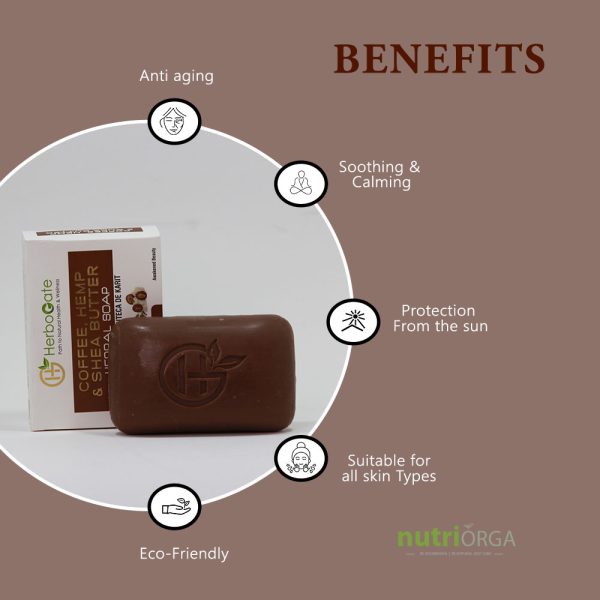 Benefits Of Coffee, Hemp & Shea Butter